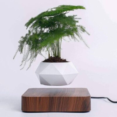 Pot de Fleur magnétique lévitation - Pot de Fleur en Lévitation - Science Labs