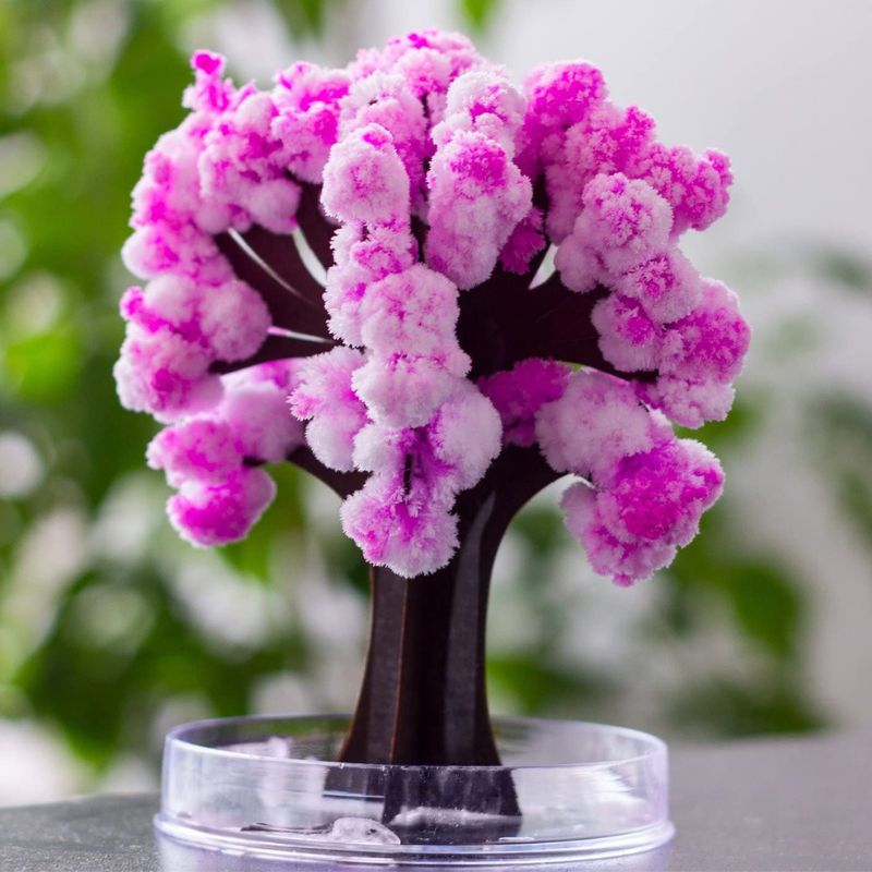 Arbre Magique Sakura - Science Labs