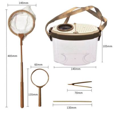 Kit Observation Insectes