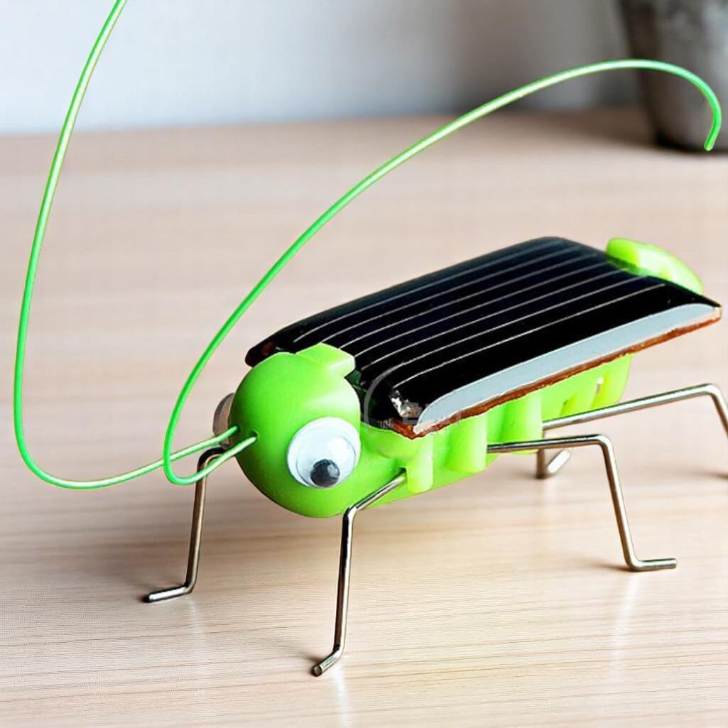 Insecte Solaire