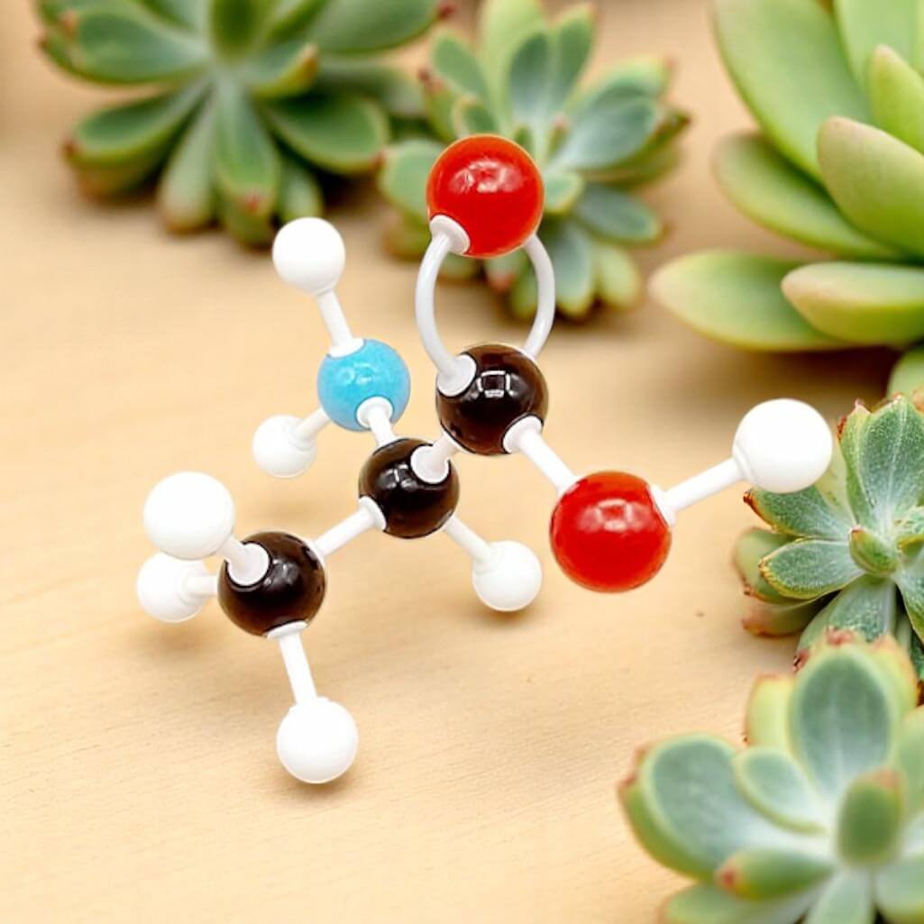 Kit de modelado molecular