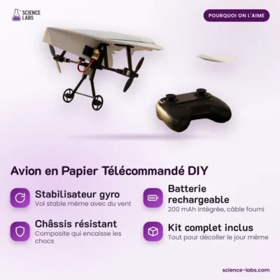 Avión de Papel Teledirigido DIY Imagen 3