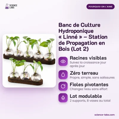 Banco hidropónico pack de 2 Imagen 3
