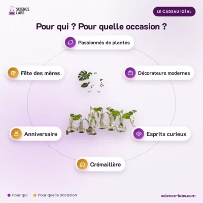 Banco hidropónico pack de 2 Imagen 4