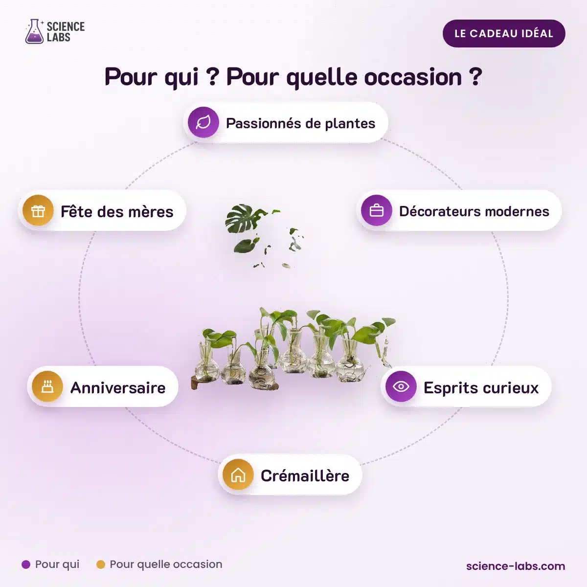 Banco hidropónico pack de 2 Imagen 4