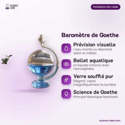 Barómetro de Goethe Imagen 3