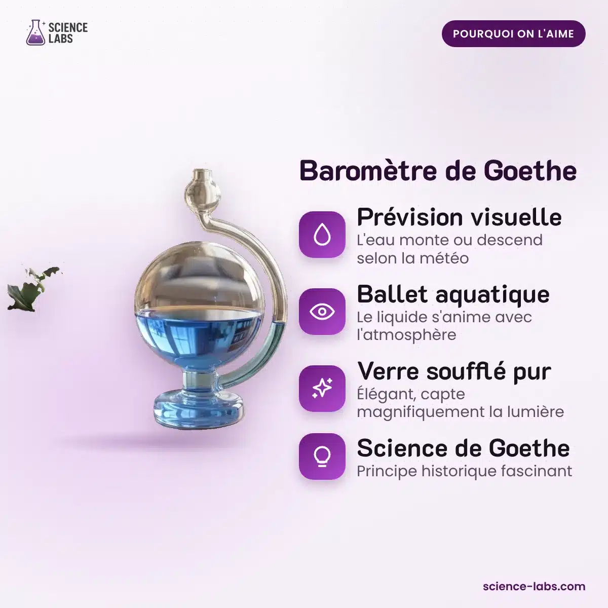 Barómetro de Goethe Imagen 3