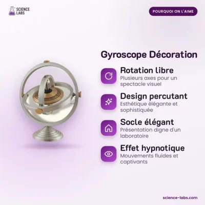 Giroscopio Decorativo Imagen 3