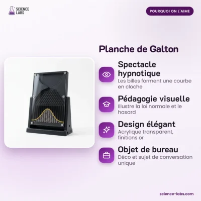 Tablero de Galton Imagen 3