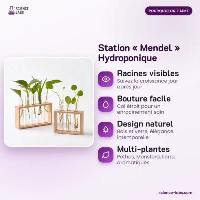 Estación hidropónica Mendel Imagen 3