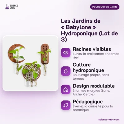 Jardinera colgante hidropónica pack de 3 Imagen 3