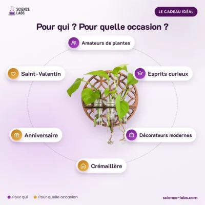 Jardinera colgante hidropónica pack de 3 Imagen 4