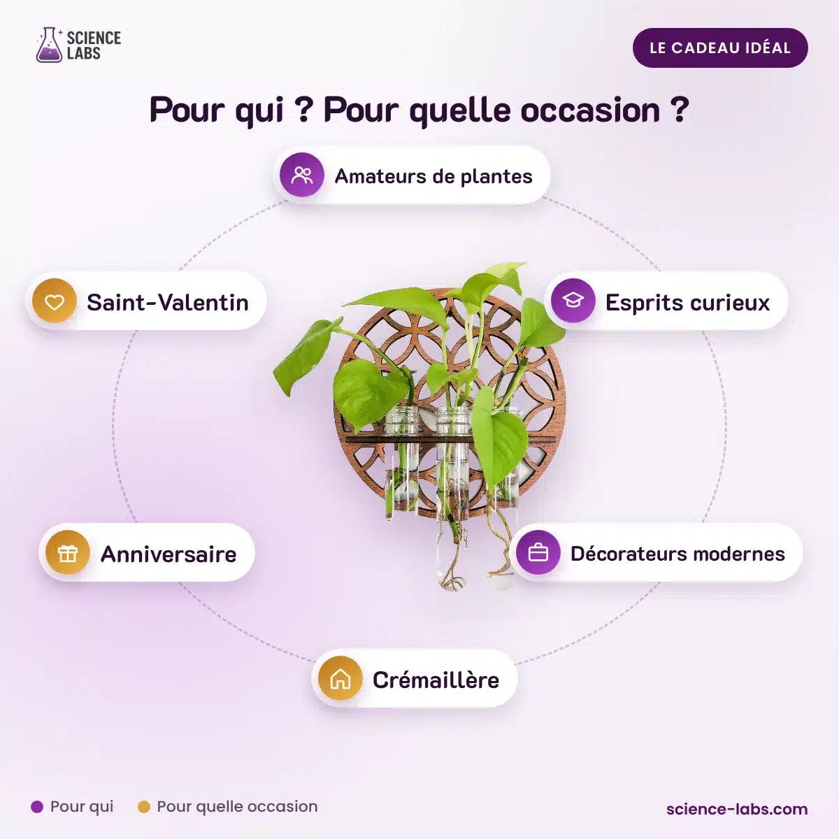 Jardinera colgante hidropónica pack de 3 Imagen 4