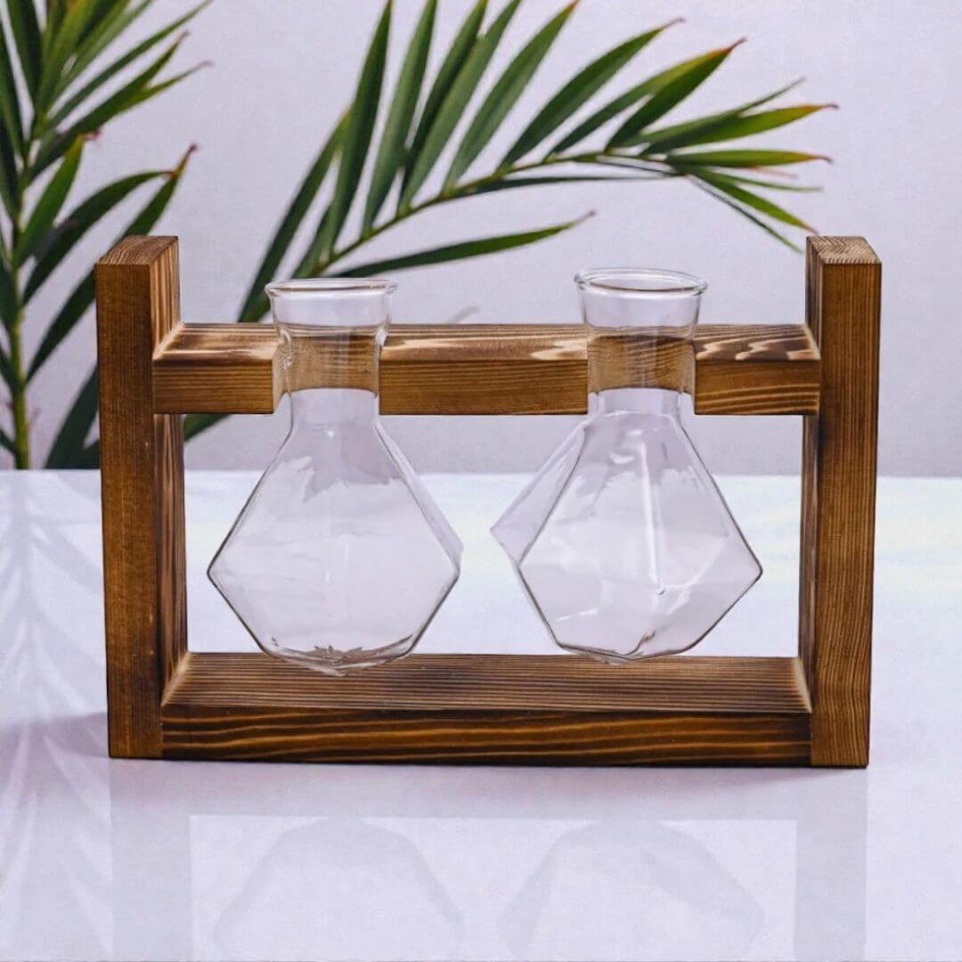 Vaso de precipitados para esquejes Imagen 5